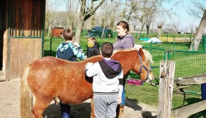 339664447 9015901415147512 3865730067206261566 n