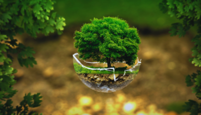 Afbeelding nieuws website 1