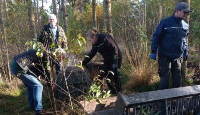 IMG 20241102 102745283 Middel 2024 11 07 075117 zgiv