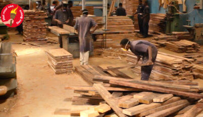 Thumbnail 5 VIA kopie