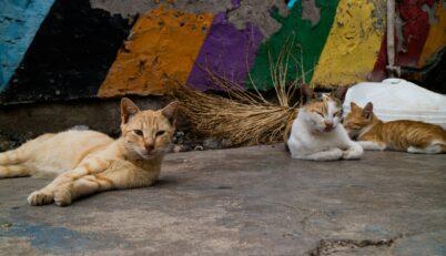 Kristin wilson 8 EL Egu78 Ib U unsplash