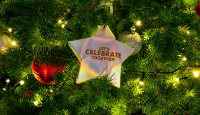 Thomas bormans Ll M1g H2g I unsplash