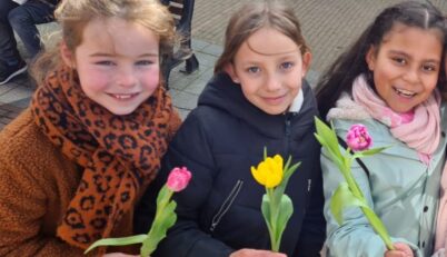 Tulp1 rpv8zko
