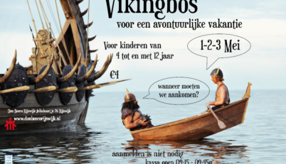 Vikingbos p1jq24q