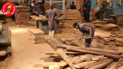 Thumbnail 5 VIA kopie