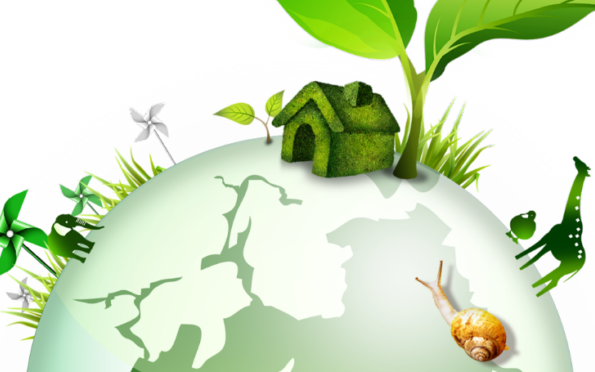 Ecologie