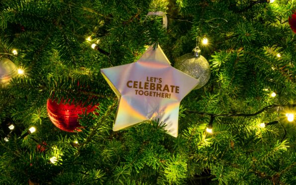 Thomas bormans Ll M1g H2g I unsplash