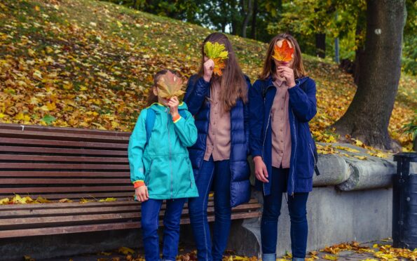 Vitolda klein p Ioj Pii1 Wpg unsplash