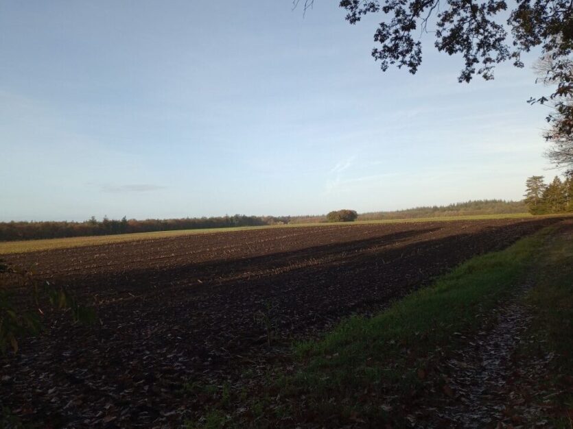 IMG 20241102 092409728 Middel