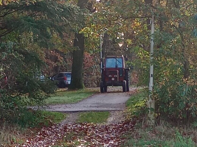 IMG 20241102 092443024 Middel