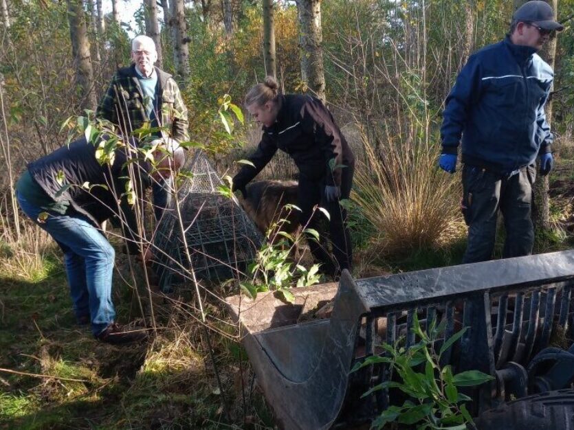 IMG 20241102 102745283 Middel