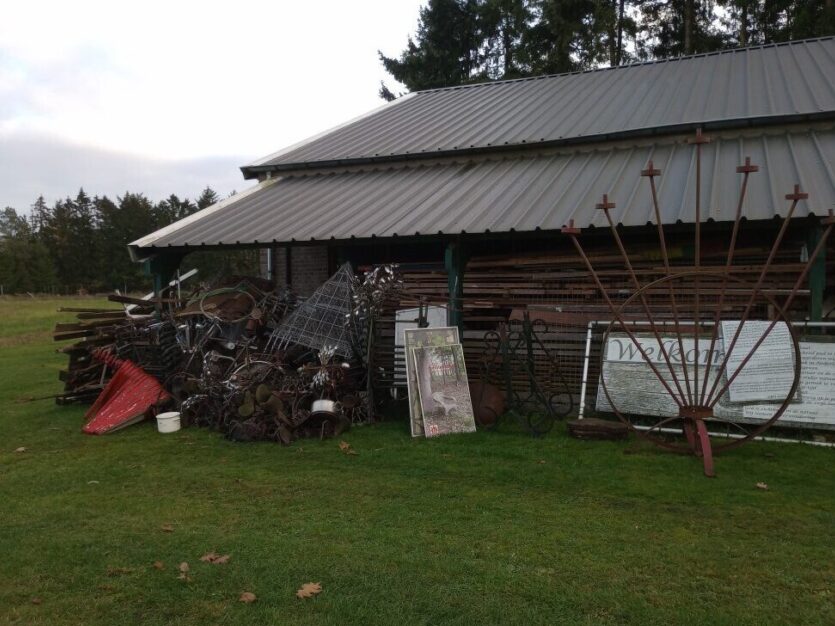 IMG 20241102 160150981 Middel