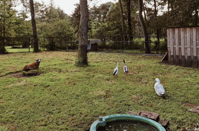 Schermafbeelding 2023 10 11 om 16 47 53