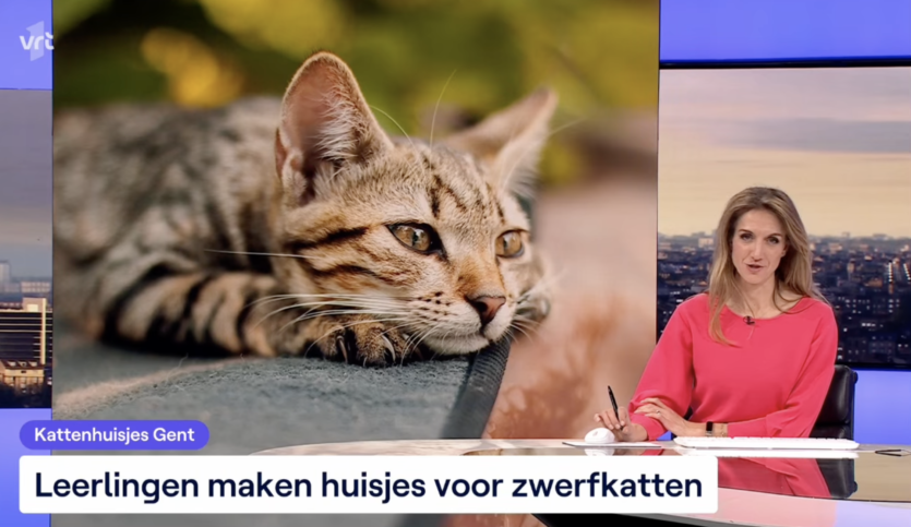 Schermafbeelding 2025 03 12 om 10 11 38